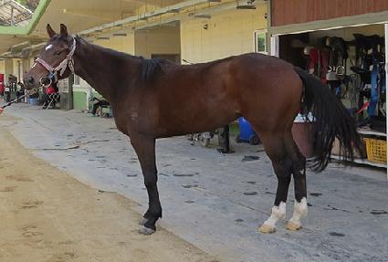 ���Ǿ��� ����