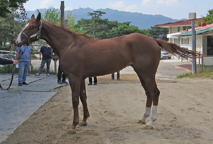 ���Ǿ��� ����