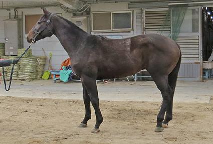 ���̿�����ġ ����