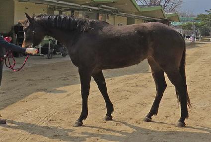 ������� ����