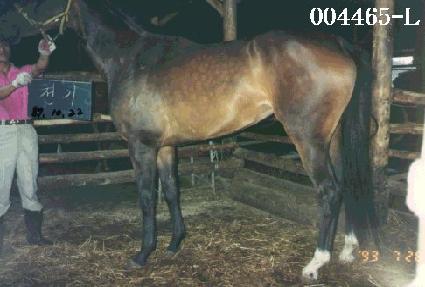 õ�� ����