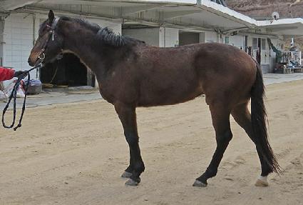 �찥���Ŀ� ����