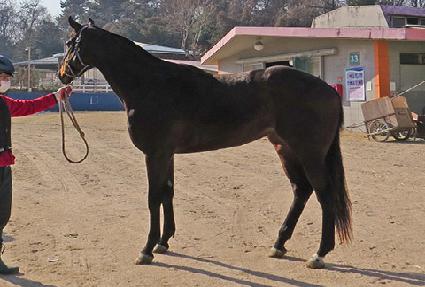 ���������̽� ����