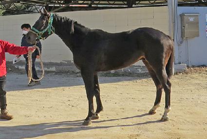 �ö���ĸƾ ����