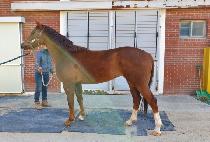 DEACHOEN JILJU picture