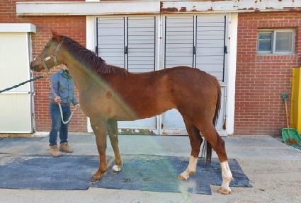 ��õ���� ����