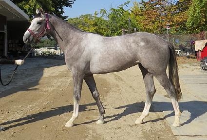 �׷����丣 ����