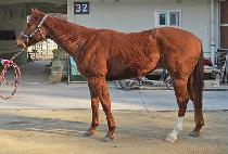 ����ī�� (HAMPYEONG SKY) ����