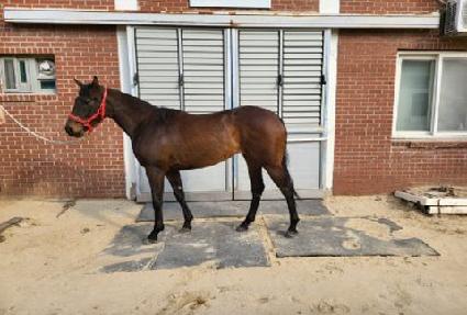 ����Ǯ���� ����