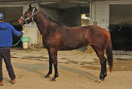 ������� ����