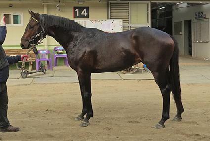 �������� ����