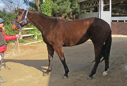 ��Ŭ������� ����