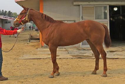 ���ü��� ����