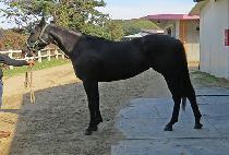 �»��ġ (TAESAN ARCH) ����