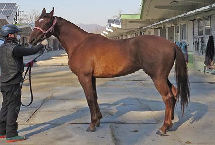 ���Ÿ ����