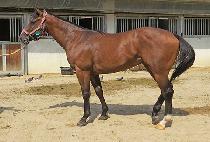 �����¡���� (AMAZING NOW) ����