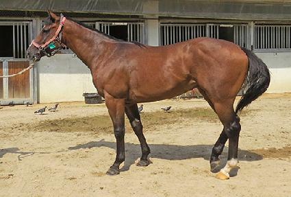 �����¡���� ����