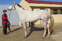 ����Ǯ����Ʈ (WONDERFUL SWEET) ����