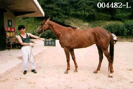 ����� ����