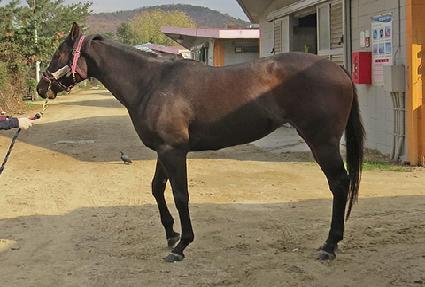 Ƽ����� ����