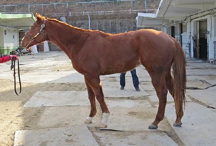 ������Ű ����