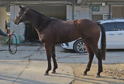 �帲���� ����