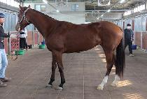 GENTLE RULES picture