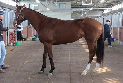 ��Ʋ���� ����