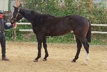 RESERVED JOHN picture