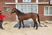 MYEONGSEONGTAPGIRL picture