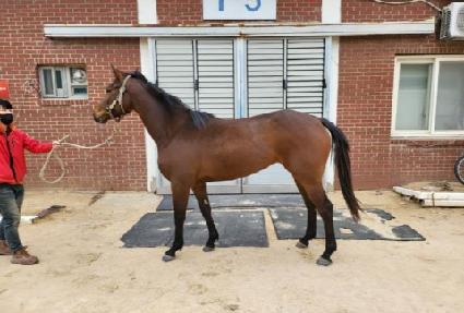 ����ž�� ����