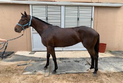 �������� ����