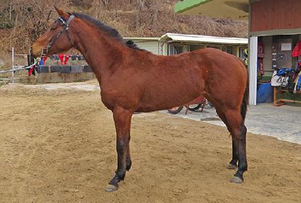 ����ó׸� ����