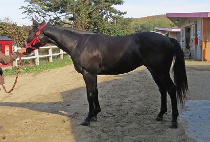 ���⸸���� ����