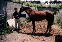 �е� (AP-DO) ����