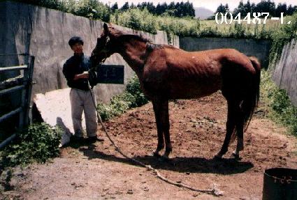 �е� ����