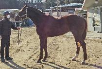 ������� (SAEBYEOK BAND) ����