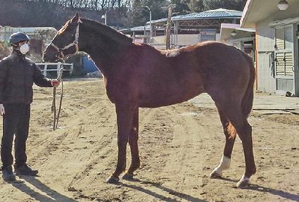 ������� ����