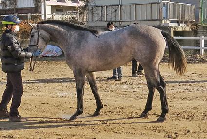 �ڽ����� ����