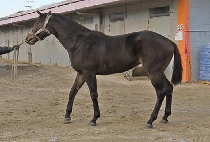 �ڽ��� ����