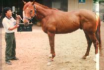 ȣ���� (HORIM WON) ����