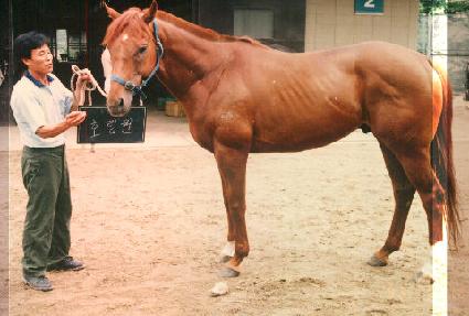 ȣ���� ����