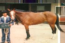 ���ڿ� (DAE JA YEUN) ����