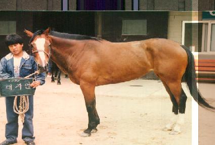 ���ڿ� ����