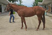 ��������Ʈ (MYEONGJIN GHOST) ����