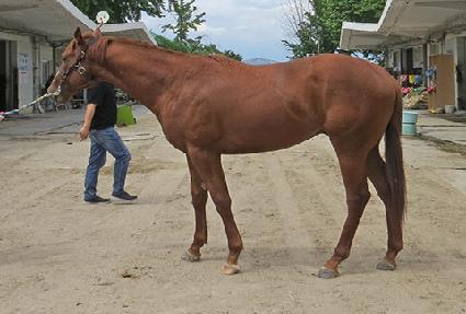 ��������Ʈ ����