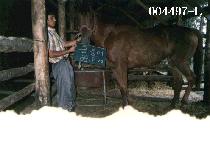 �ݺؾ� (KEUM BOONG OH) ����