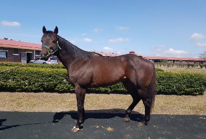 ��ĸó�� ����