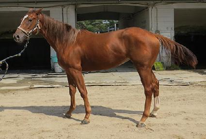 ������ ����