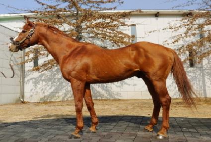 ��Ŭ���� ����